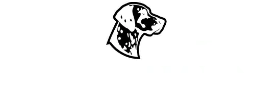 Coachmen RV logo